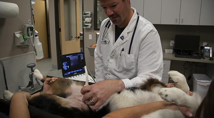 Ultrasound